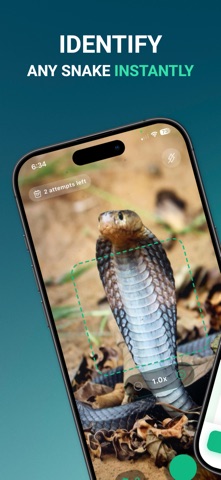 Snake AI: Reptile Identifier Screenshot 1 of 5