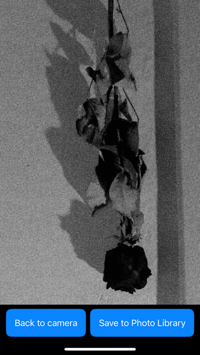 reLux iPhone screenshot 2 - Photo & Video app