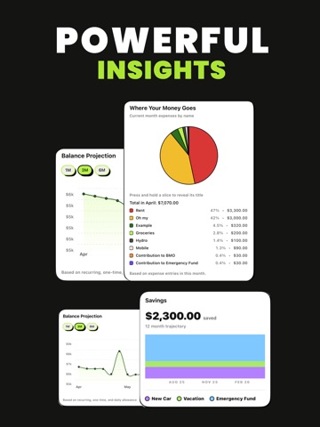 Spency: Budget Planner App iPad screenshot