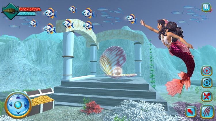 Sea Turtle & Princess Mermaid