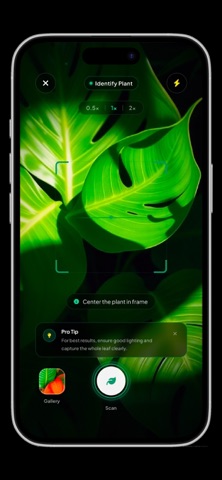 VERDANT | Plant, Garden screenshot