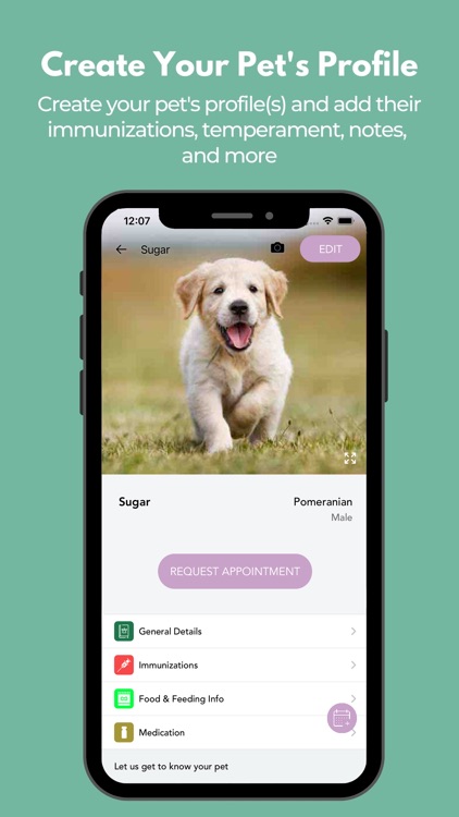 Pawsitive Vibes Pet Resort