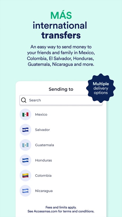 AccessMas screenshot-3