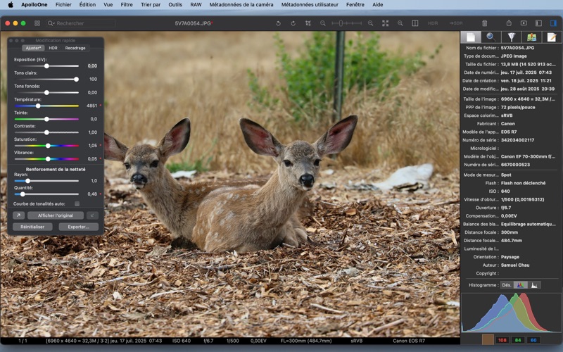 Screenshot #2 pour ApolloOne Visionneuse d'image