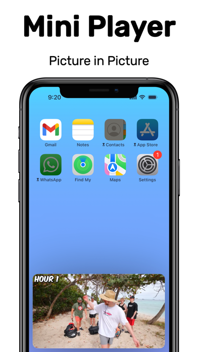 Viddle: No Ads Video Browser iPhone screenshot 6 - Photo & Video app