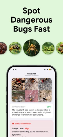 Bug Identifier: Insect Scan Screenshot 3 of 4
