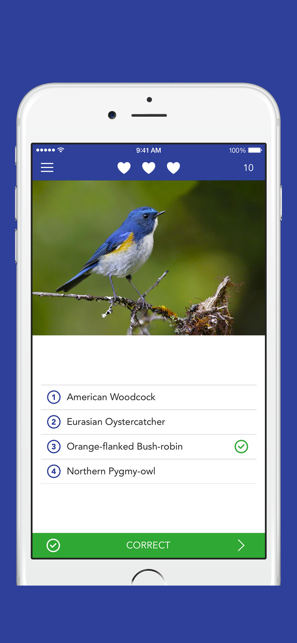 iKnow Birds LITE