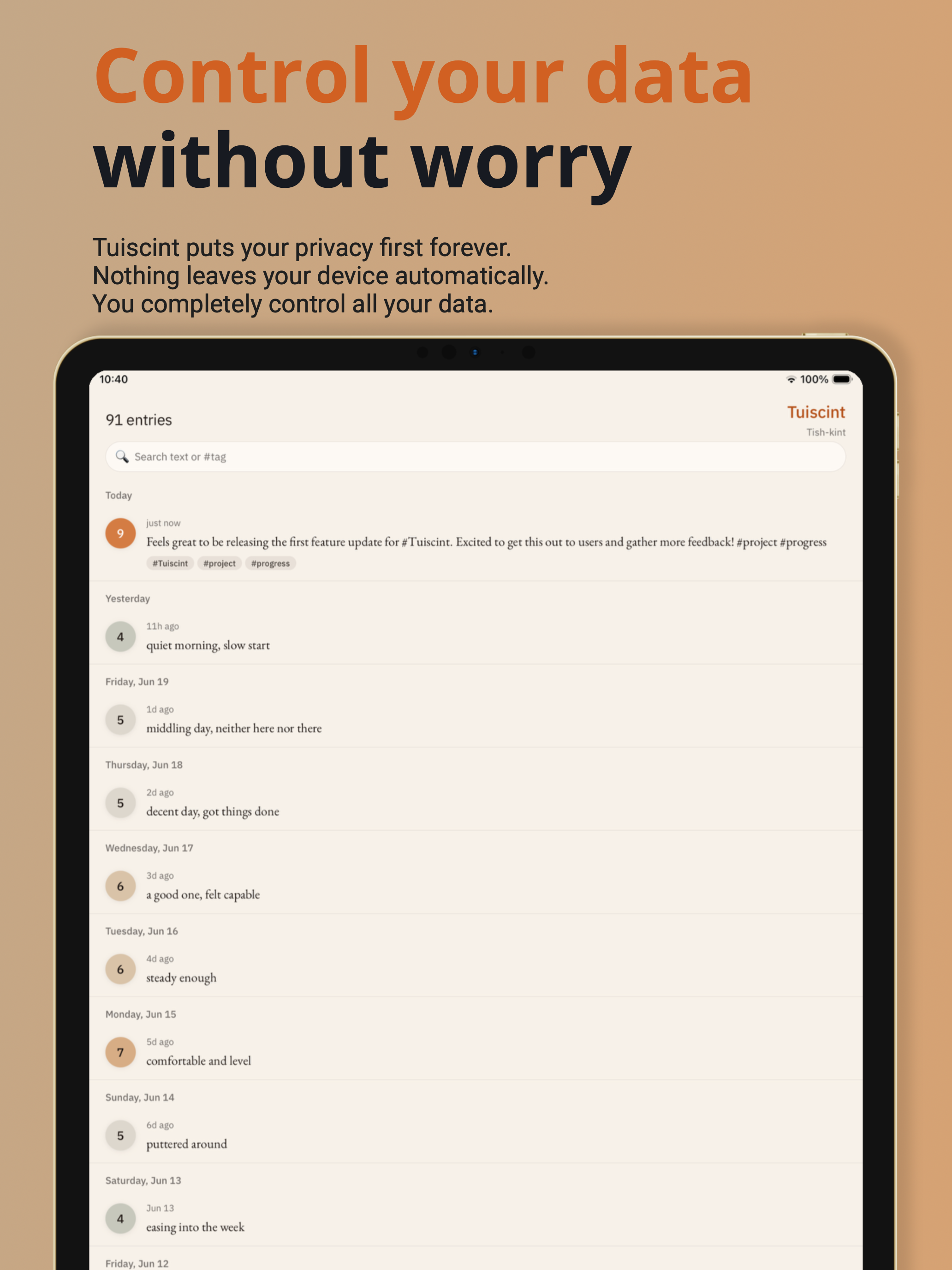 Tuiscint - Analytical Journal screenshot 9