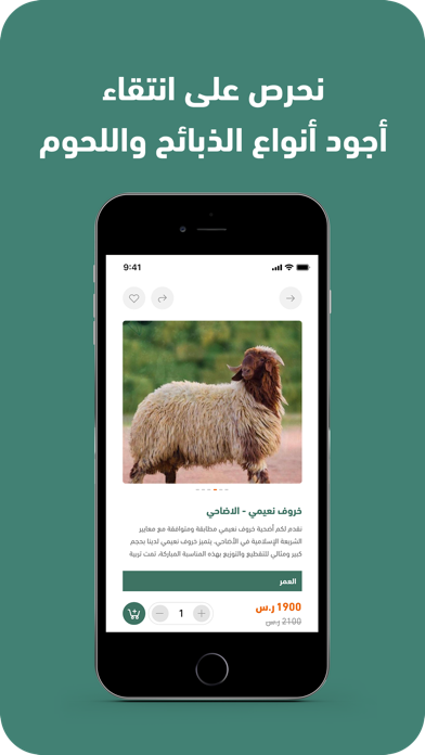 نعيمي الشمال Screenshot