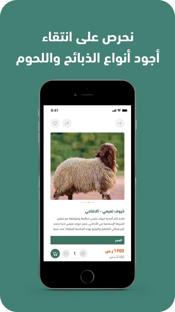 نعيمي الشمال