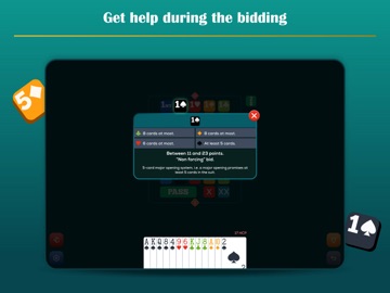 Play Bridge: Offline Card Game iPad screenshot