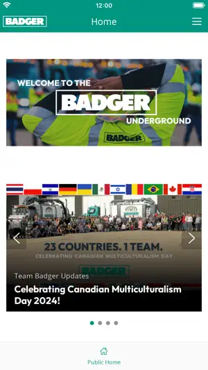 Badger Underground screenshot 1