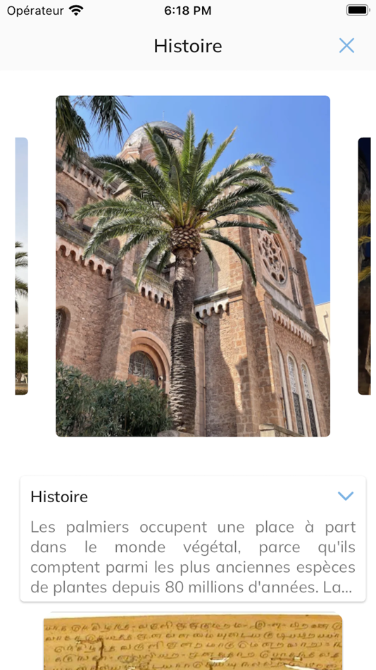 #7. e Palm (iOS) 由: ENVIVIA