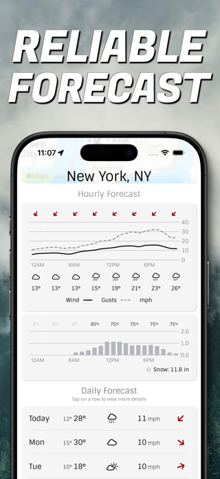 Wind Compass - Windygo Screenshot 9 of 10