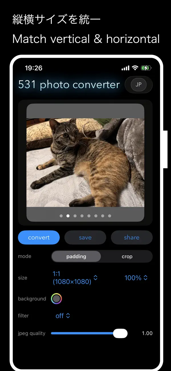 Screenshot #3 pour 531 photo converter
