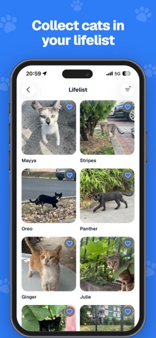 CatWatch: Catwatching App Screenshot 3 of 7