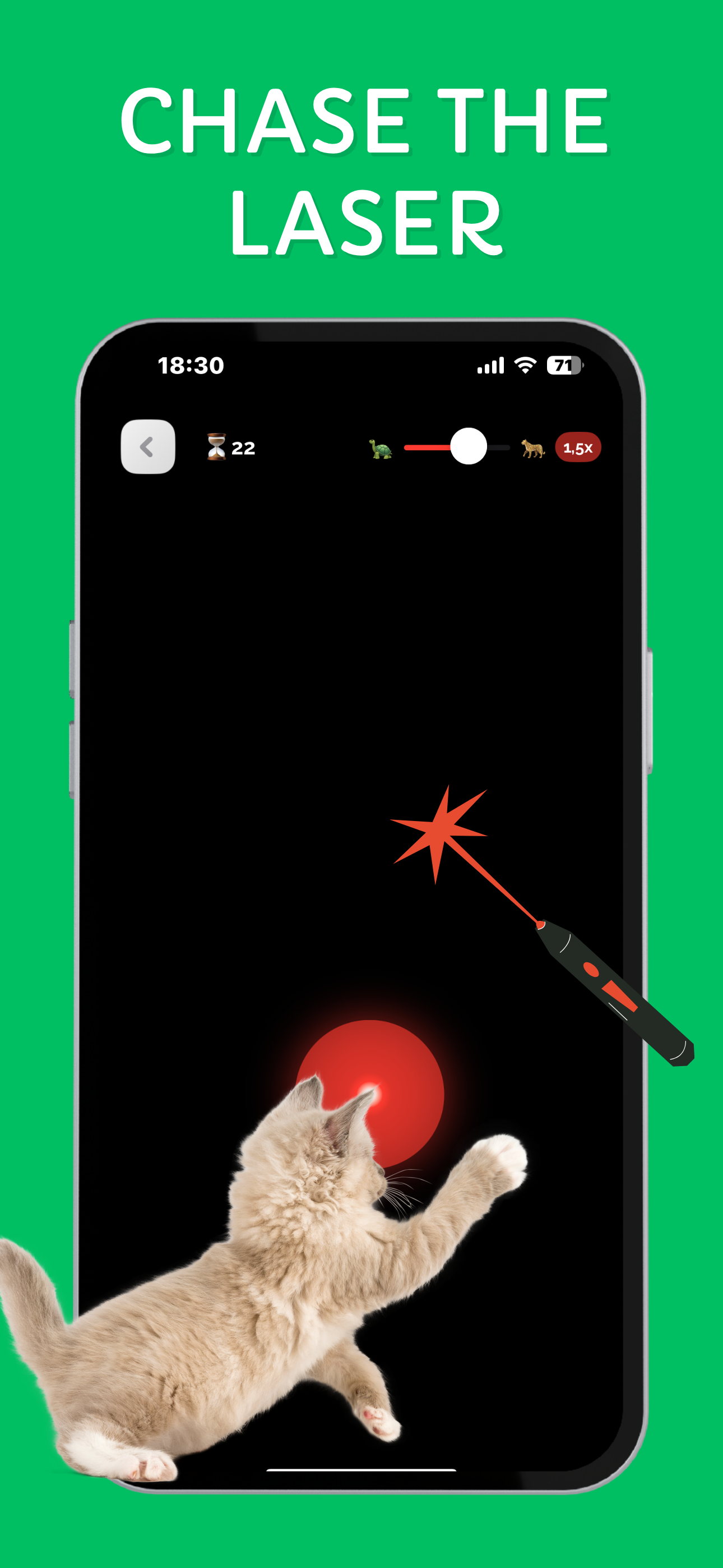 Games for Cats & Kittens: iCat