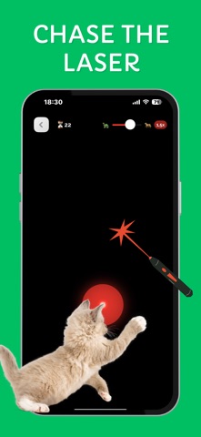 Games for Cats & Kittens: iCat iPhone screenshot