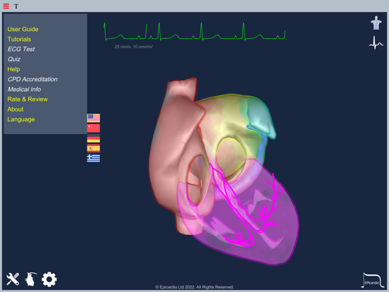 Heart Simulator iPad screenshot