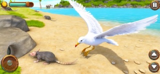 Seagull Bird Life Simulator Screenshot 5 of 5