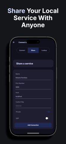 Holesail Go screenshot