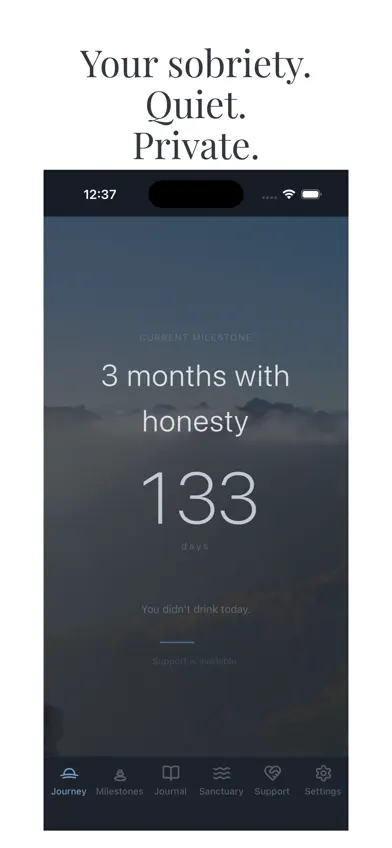 Quiet Sober screenshot 1