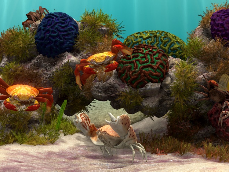 Fish Farm 4: 3D Aquarium screenshot-8
