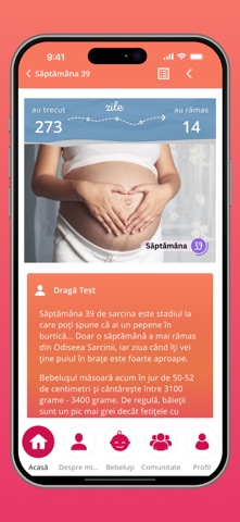 Odiseea Sarcinii, Sarcina ta iPhone screenshot