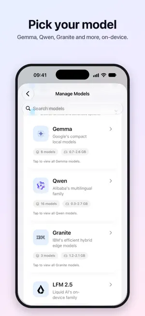Own AI: Local LLM screenshot 2