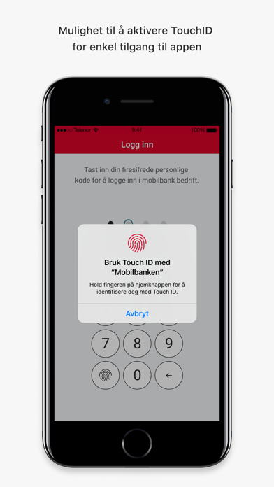 BN Bank Mobilbank Bedrift Screenshot
