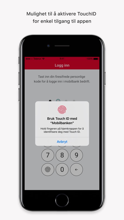 BN Bank Mobilbank Bedrift