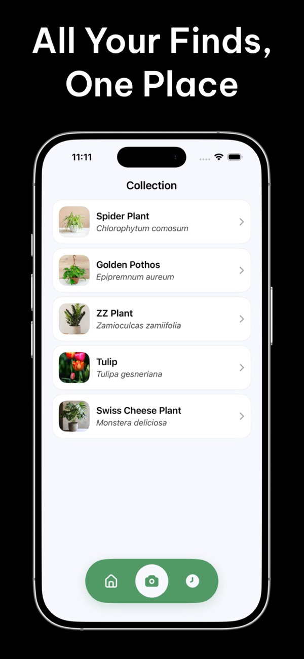 Plant Identifier: ID & Care screenshot 6