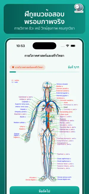 NurseNext เตรียมสอบพยาบาล screenshot 2