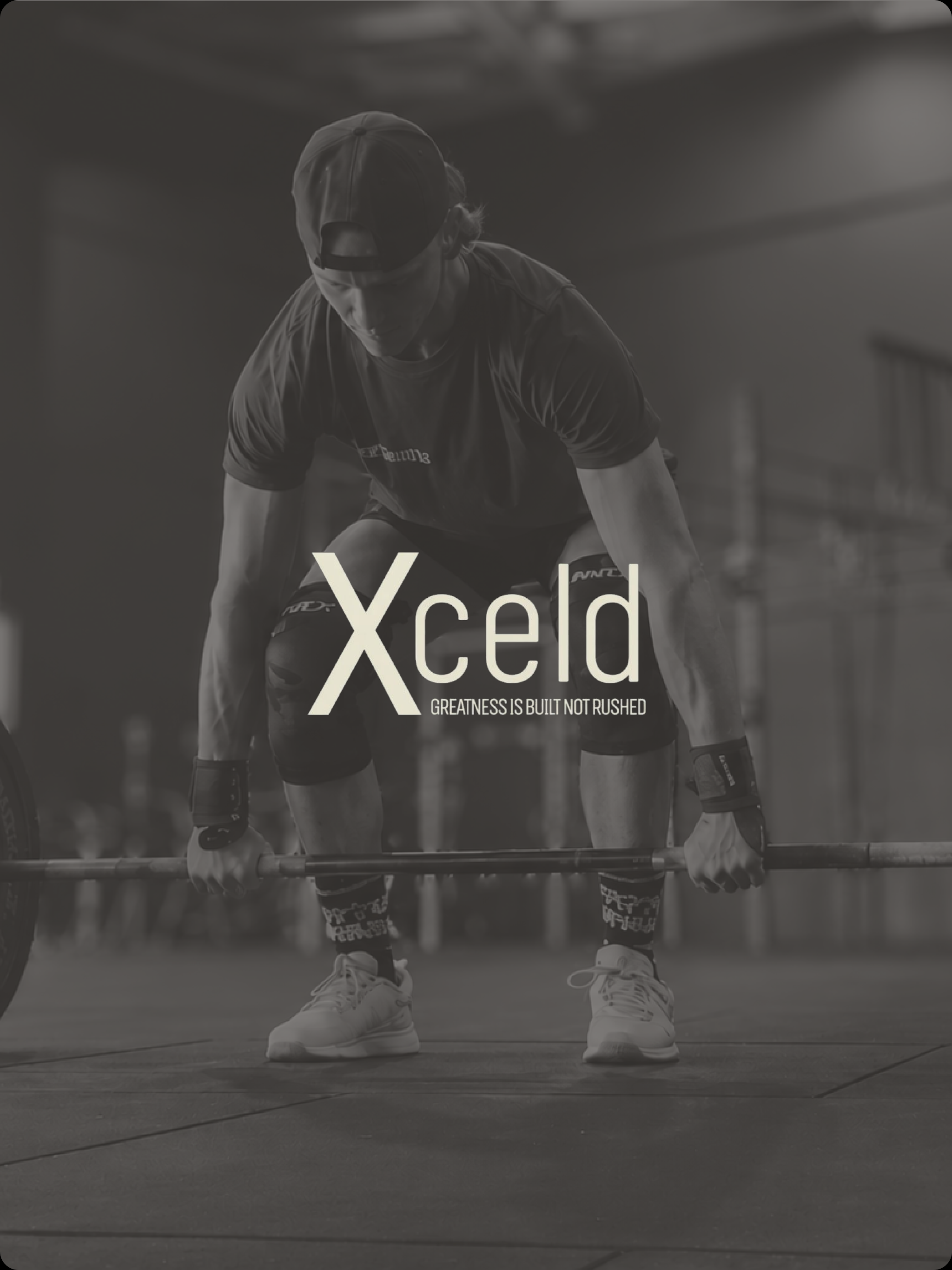 Xceld screenshot 10