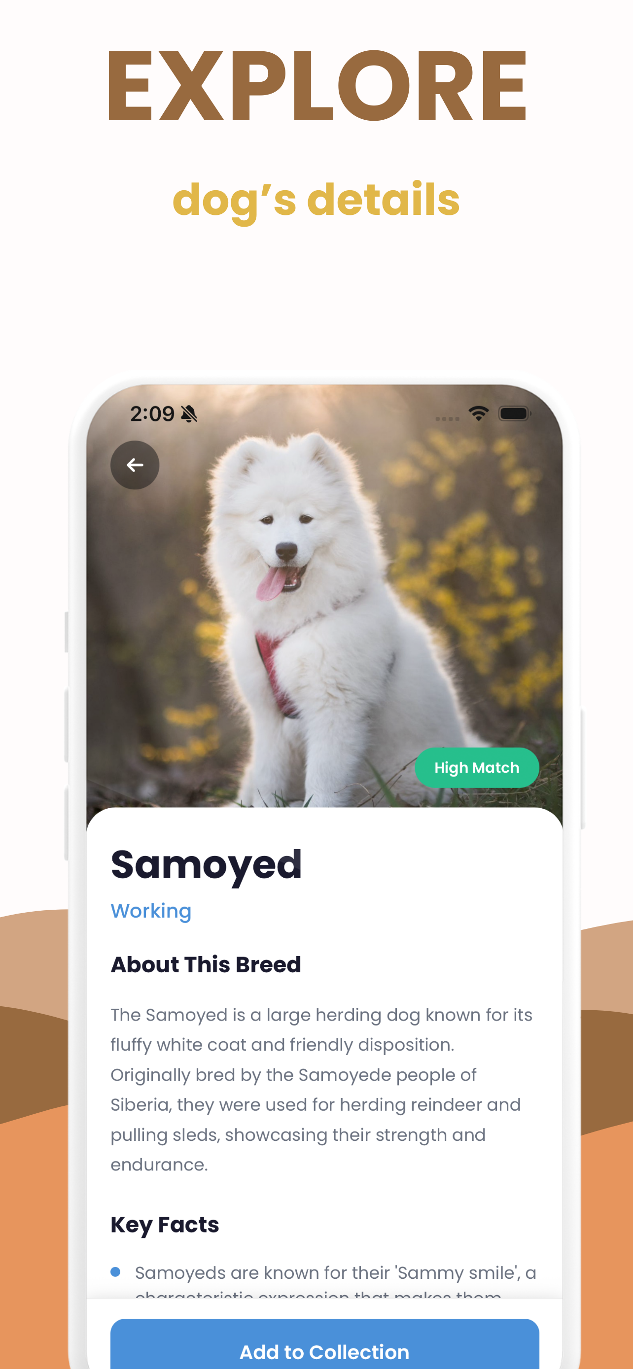 Dog Breed Identifier - Scanner