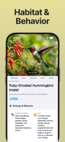 Bird Sound Identifier Call Id screenshot