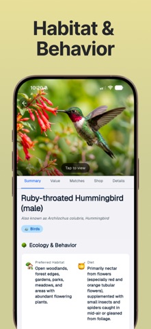 Bird Sound Identifier Call Id iPhone screenshot
