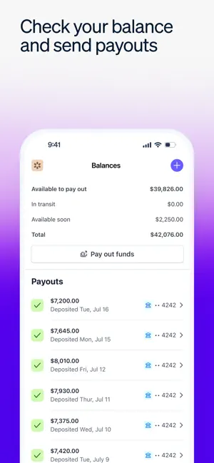 Stripe Dashboard screenshot 4