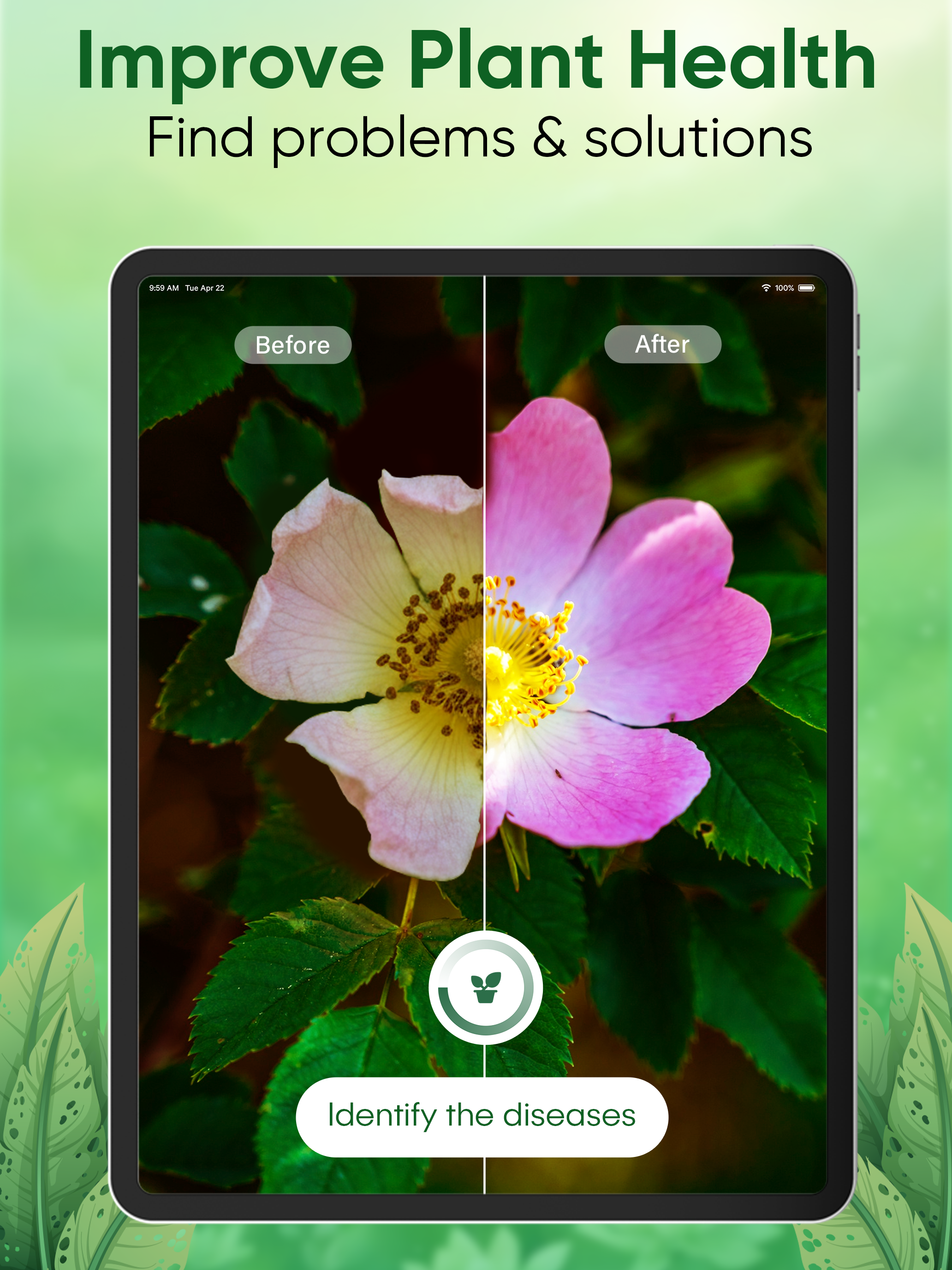 Plant Identifier - Care & Tips screenshot 11