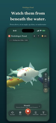 Nishikigoi Pond Screenshot 2 of 8