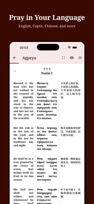 One Coptic Library screenshot 4
