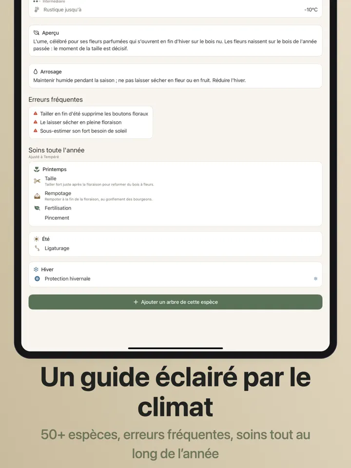 Bonsaiku sur iPad : capture d’écran 7 sur 7
