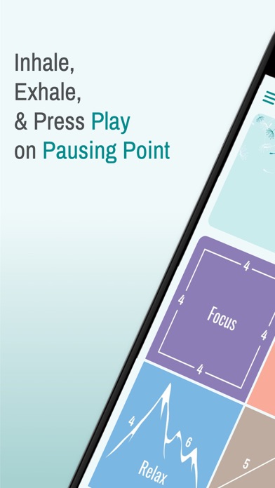 Pausing Point Screenshot 1 of 10
