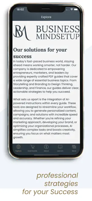 Business MindSetup screenshot 1