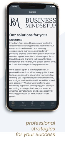 Business MindSetup screenshot