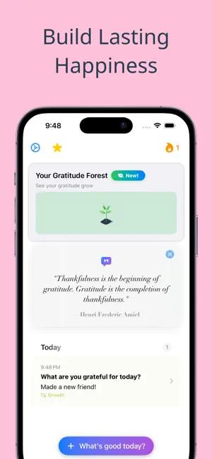 Gratitude Journal: Daily Joy screenshot 1