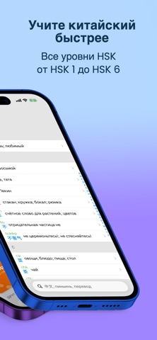 HSK список слов и флэшкарточки iPhone screenshot