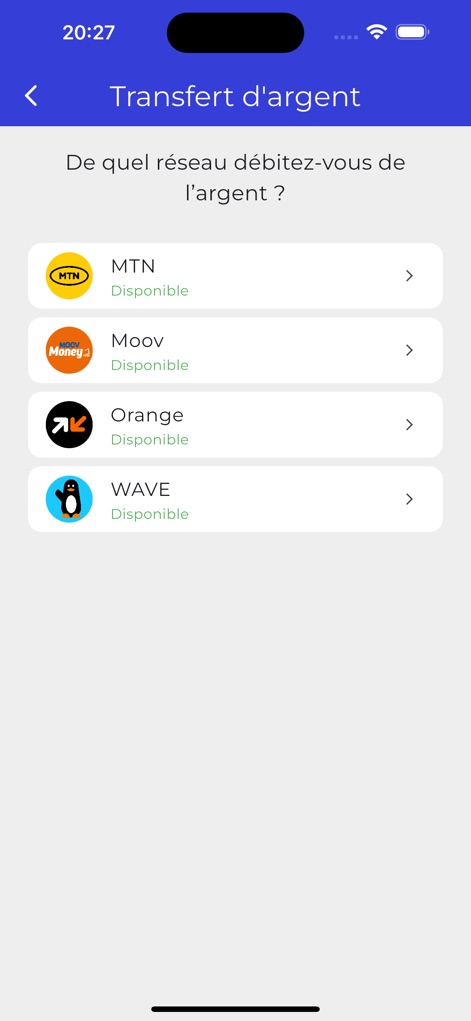 WalliSend - This interface provides a clear selection of available mobile money networks for debiting funds, ensuring users can easily choose their preferred service.