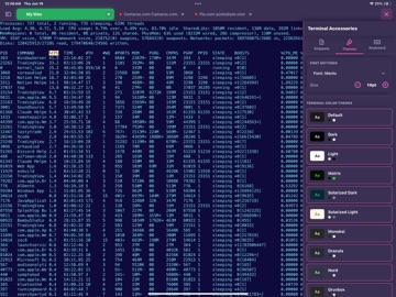 ShadowTerm ssh & mosh Terminal iPad screenshot