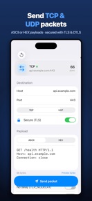 TCP & UDP Packet Sender screenshot